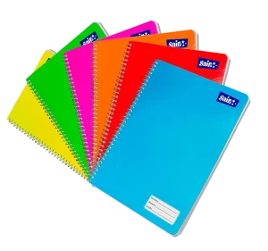 CUADERNO PROFESIONAL CON 100 HOJAS C/48 PZAS
